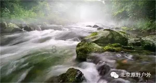 救援贪玩的大象